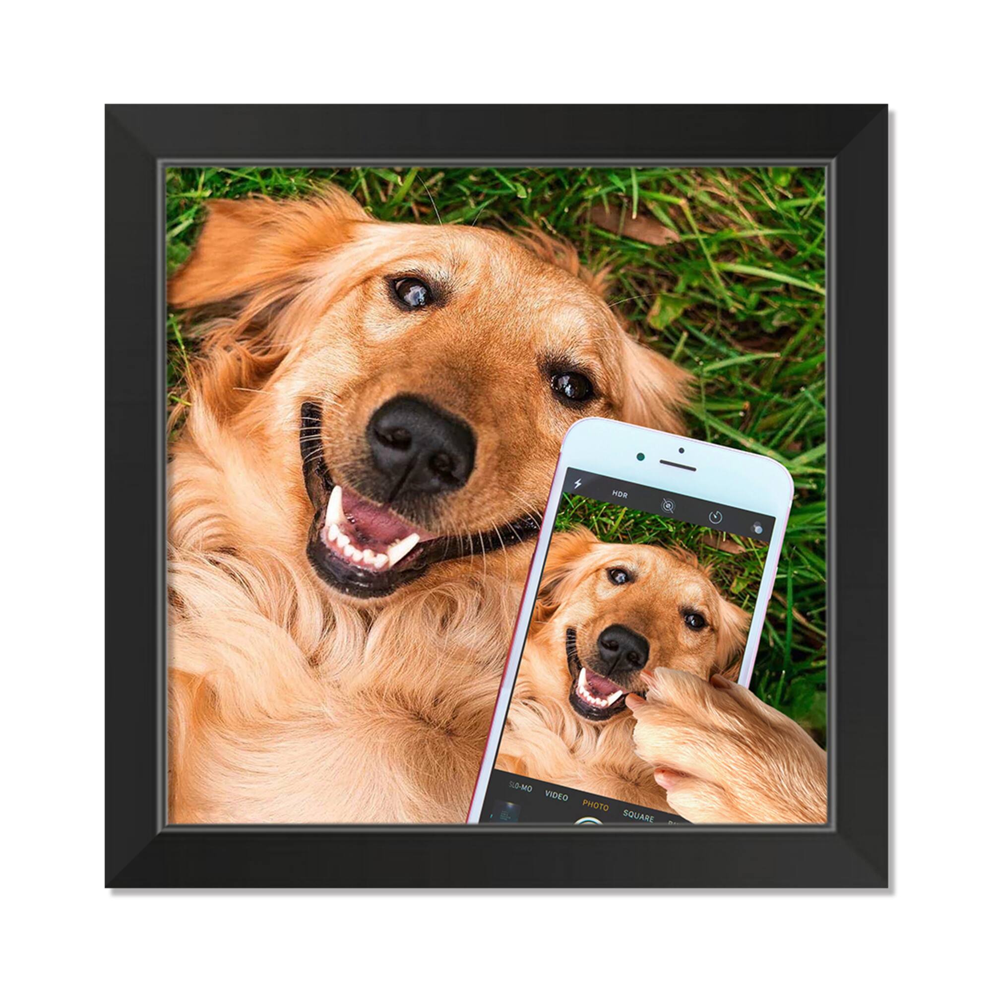 Selfie Golden 1 16" x 16" Black Framed Print Under Plexiglass